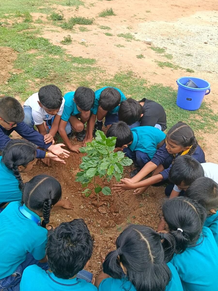 World Environment Day 2026-27